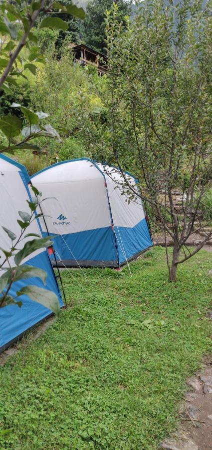 Parvatis Lap Luxury Hostel & Camps Kasol Eksteriør billede