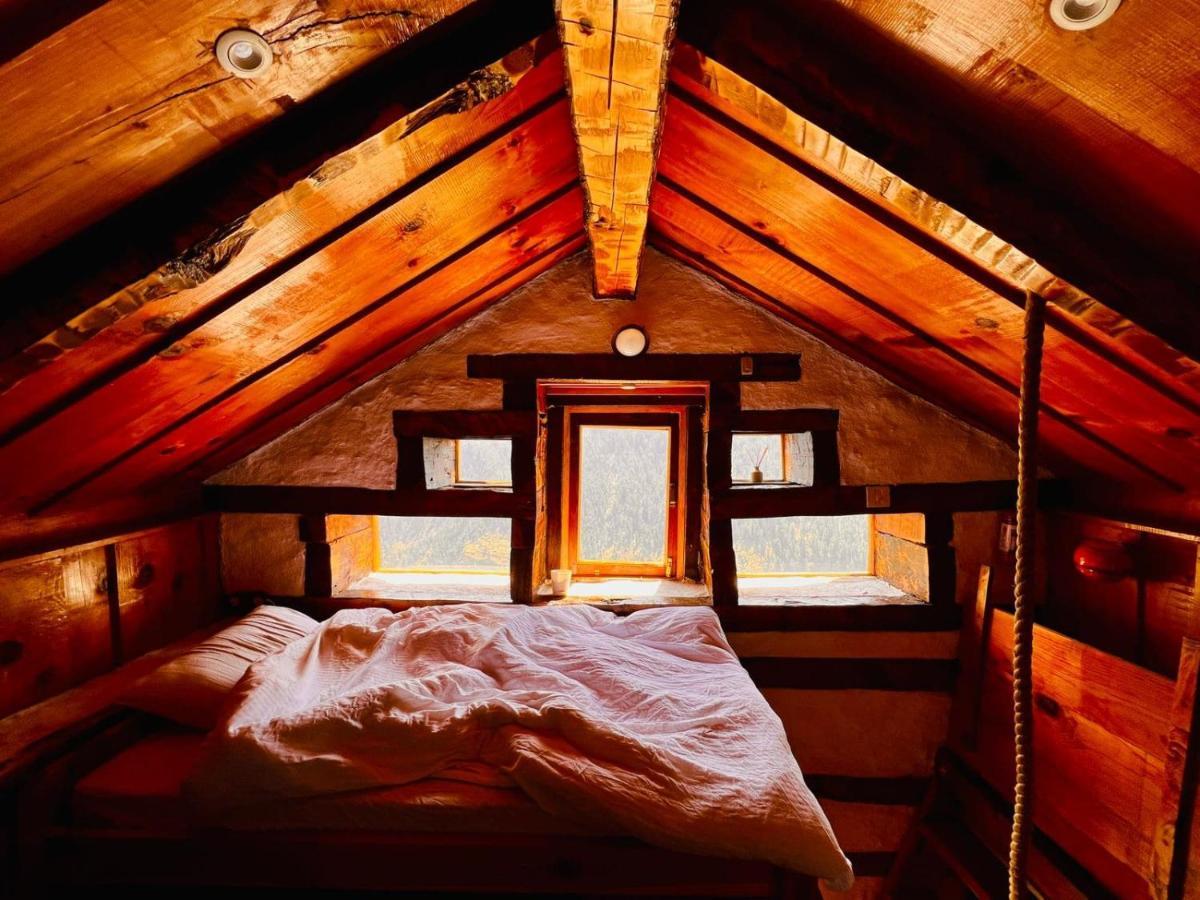 Parvatis Lap Luxury Hostel & Camps Kasol Eksteriør billede