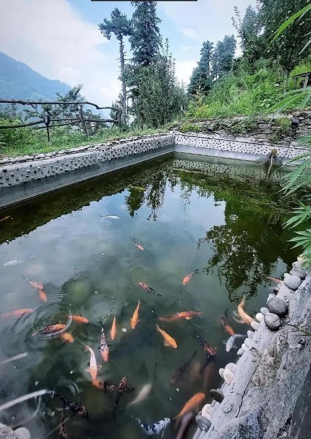 Parvatis Lap Luxury Hostel & Camps Kasol Eksteriør billede